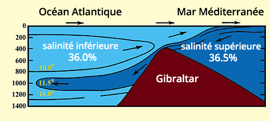 Principes d'océanographie